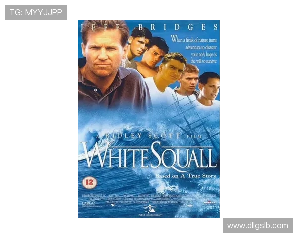 新美国故事：梦想、熔炉与重塑的篇章